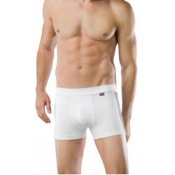 Schiesser Short Cotton Essentials 2-pack - wit